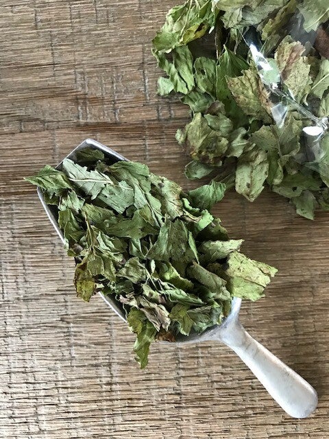 Munt (Nana) (30 gram)