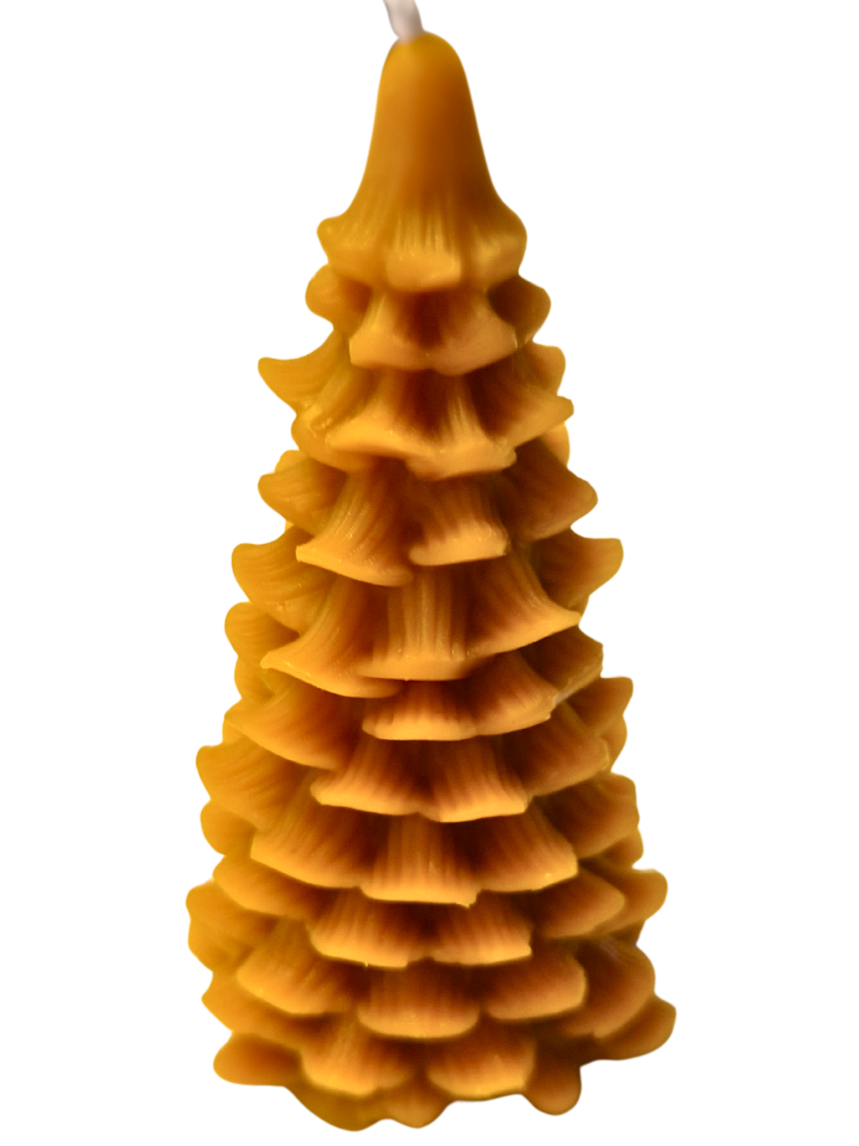 Bougie en cire d'abeille sapin_1