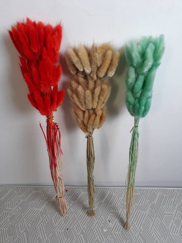 Bag Lagurus