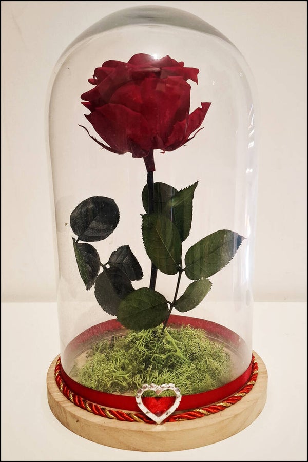 Campana di Vetro "La Bella e la Bestia"