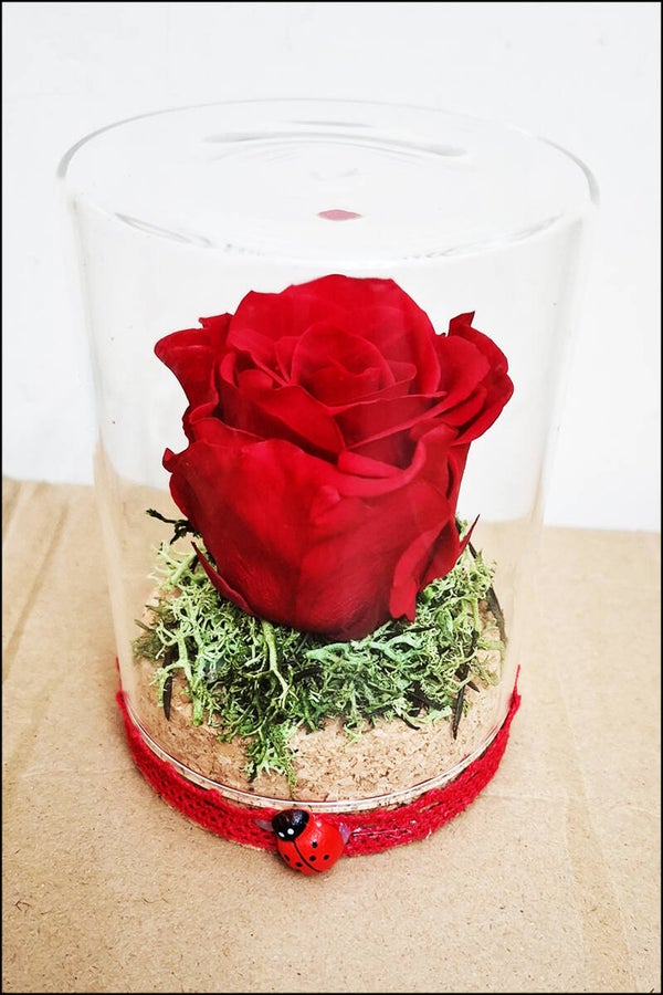 Fiala di Vetro Grande con Rosa Stabilizzata