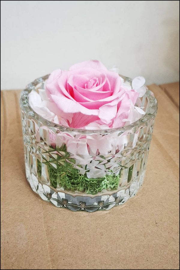 Cofanetto di Vetro basso con Rosa Stabilizzata