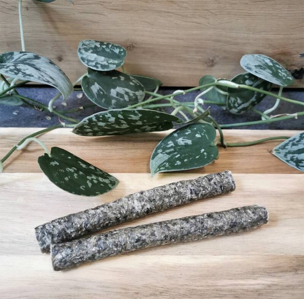 Zalm stick