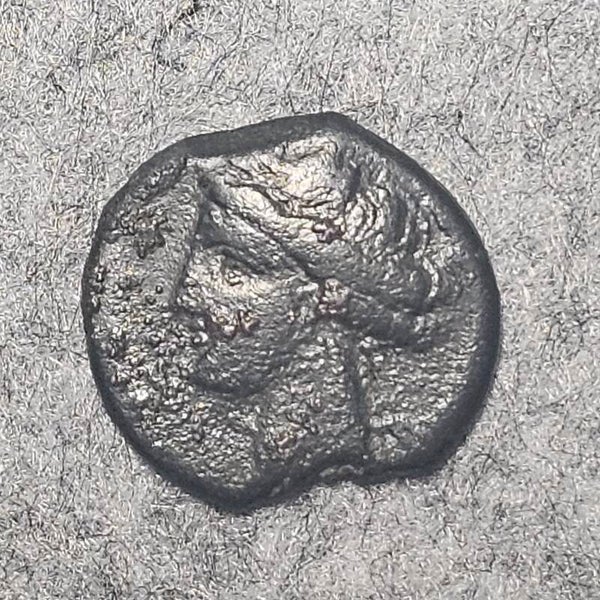 Carthage (Zeugitane) - Shekel