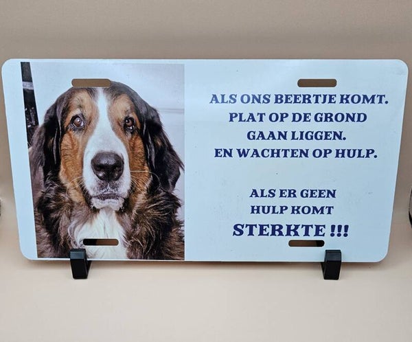 Kenteken plaat