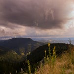 dsc_1322-standard.jpg