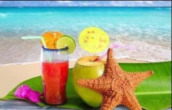 Island Oasis Lotion