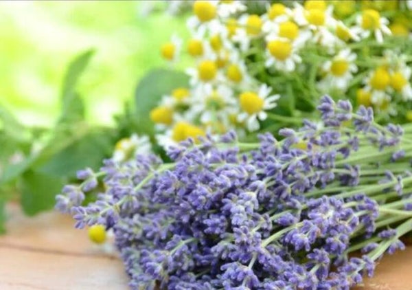 Lavender and Camomile Perfume
