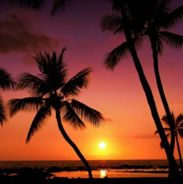 Hawaiian Blast Lotion