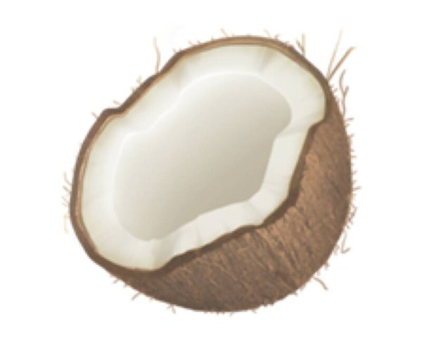 Coconut Candle