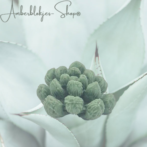 Aroma ornament - succulent/3