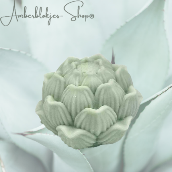 Aroma ornament - succulent/6