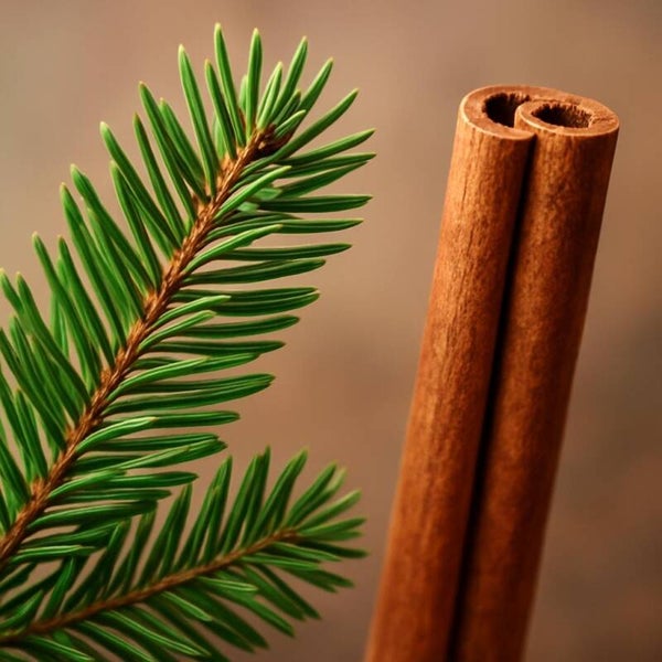 Geurblokje Spar en Kaneel