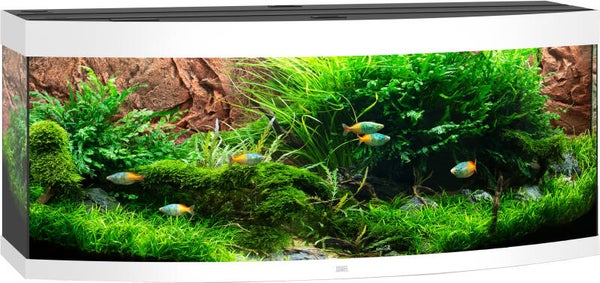 Juwel aquarium vision 450 LED - wit