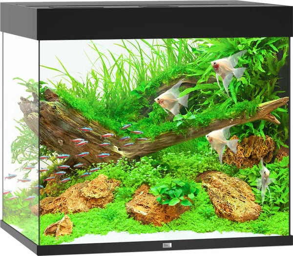 Juwel Lido 200 aquarium LED - zwart