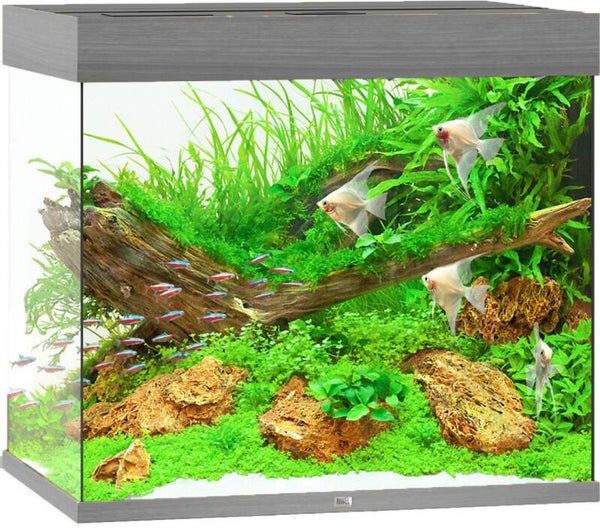 Juwel Lido 120 aquarium LED - Donker grijs