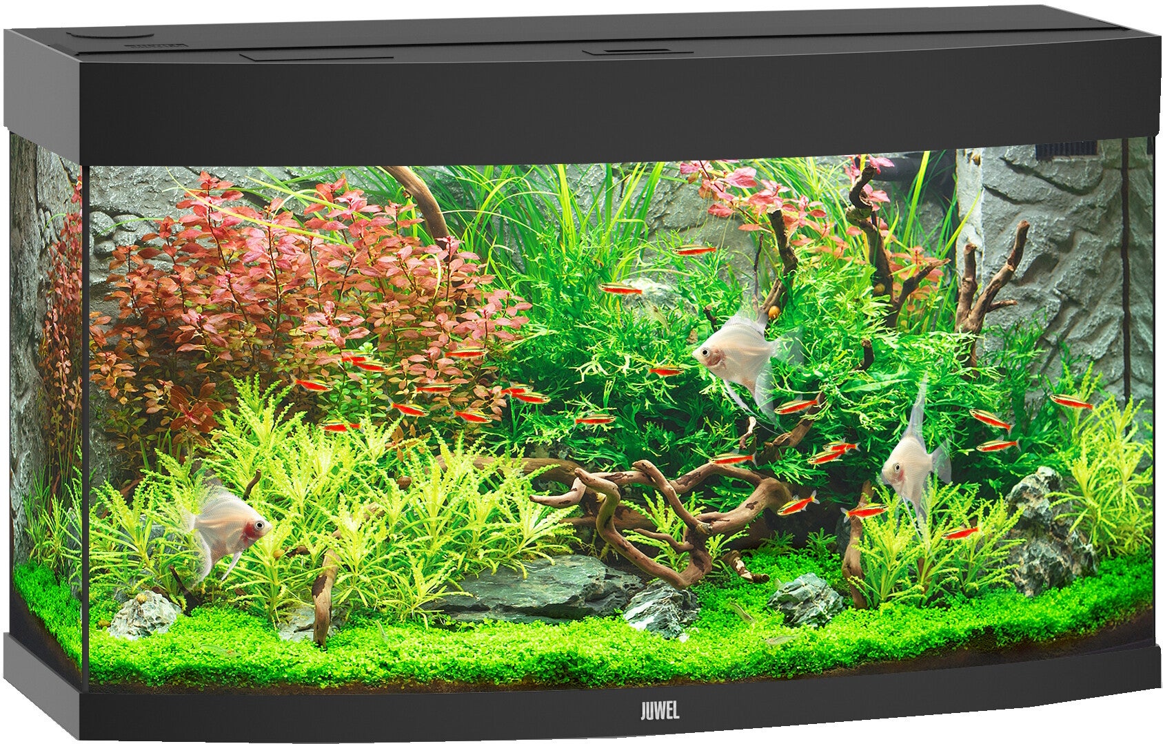 Juwel aquarium Vision 180 LED - zwart