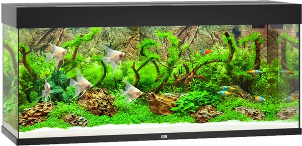 Juwel aquarium Rio 240 LED - zwart