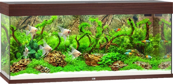 Juwel aquarium Rio 240 LED - donkerbruin