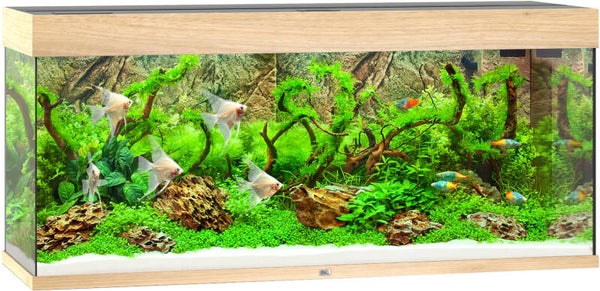 Juwel aquarium Rio 240 LED - licht eiken