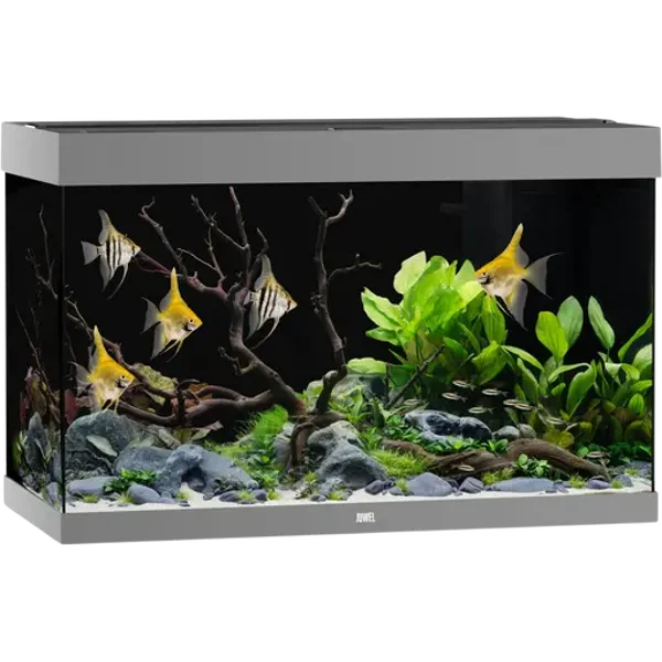 Juwel aquarium Rio 290 - Grijs