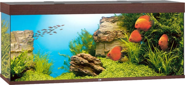 Juwel aquarium Rio 450 LED - donkerbruin