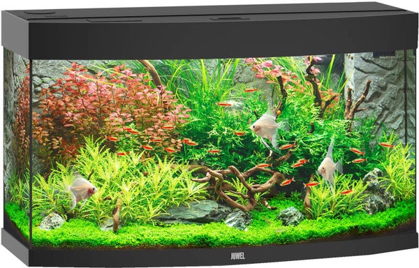 Juwel aquarium Vision 180 LED - zwart