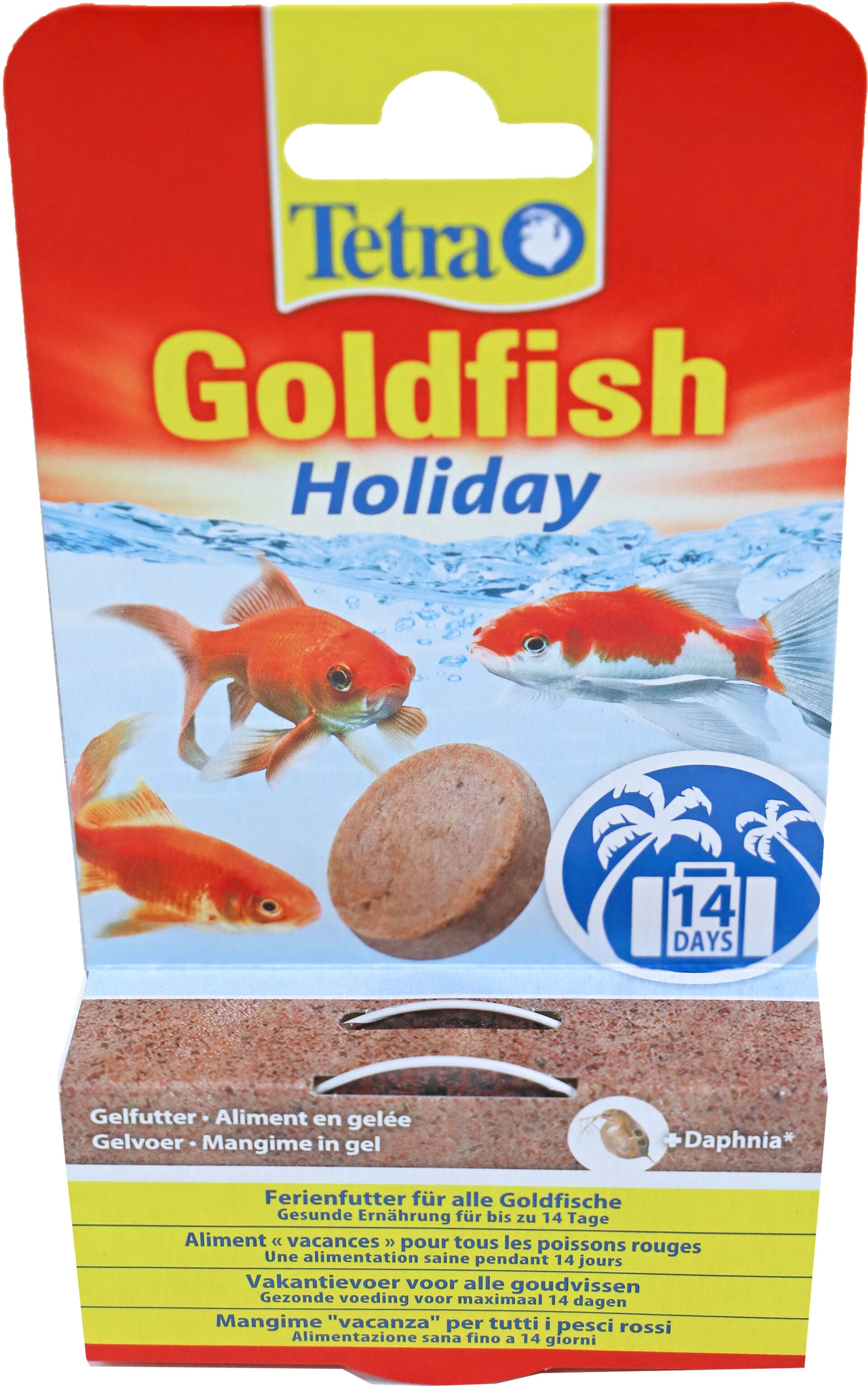 Tetra Goldfish Holiday (2)