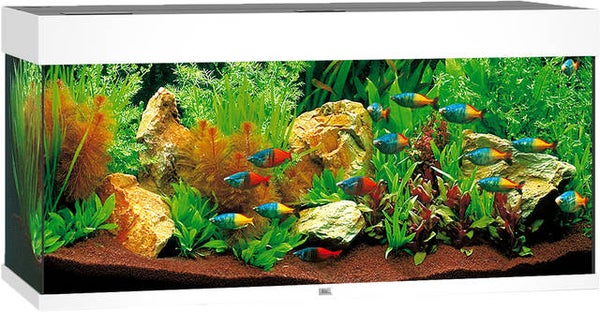 Juwel aquarium Rio 180 LED - wit