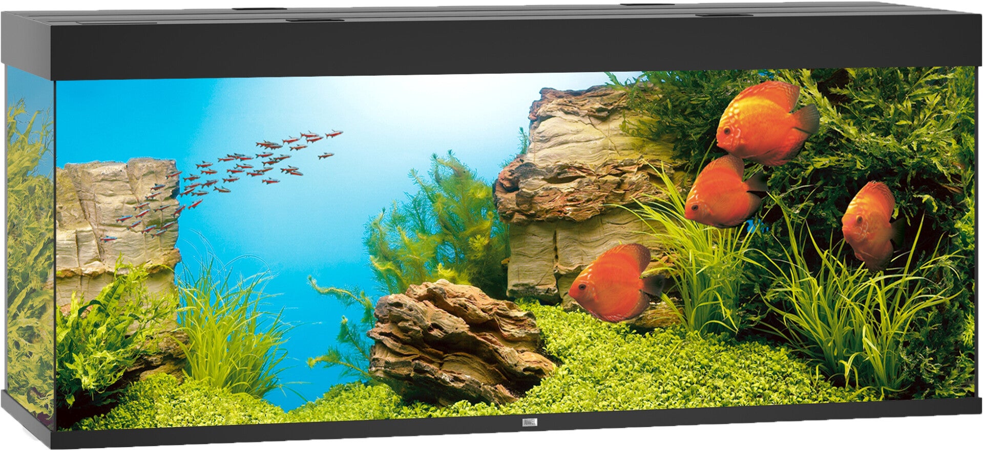 Juwel aquarium Rio 450 LED - zwart