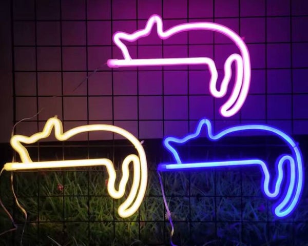 Chat Néon led