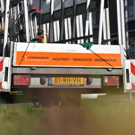 3-2-standard-p65gy8.jpg