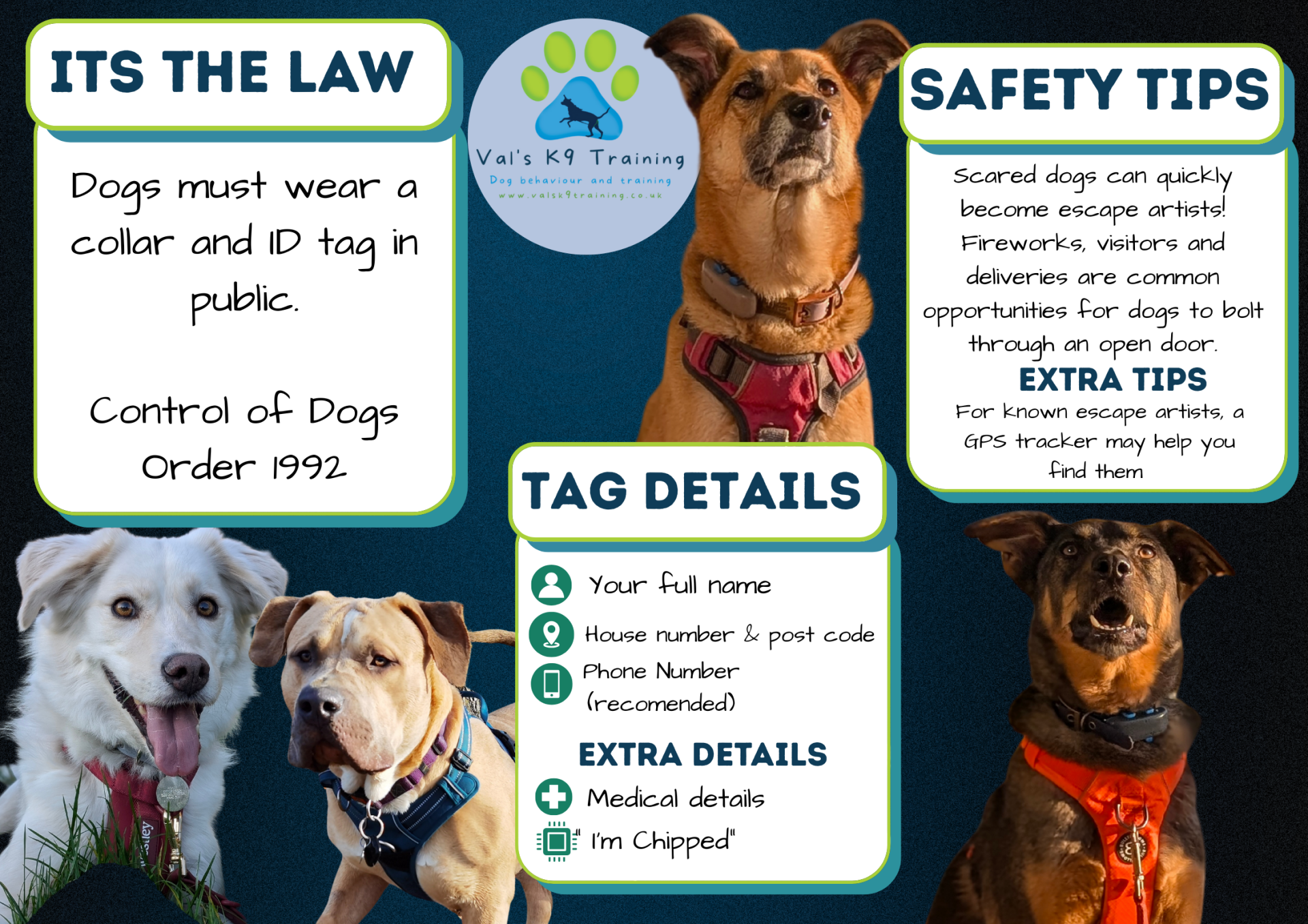 ID tags and legal requirement for dogs