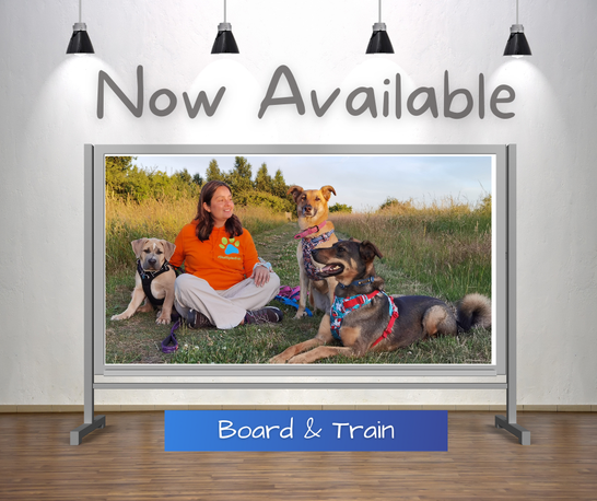 K9 board and train near best sale me