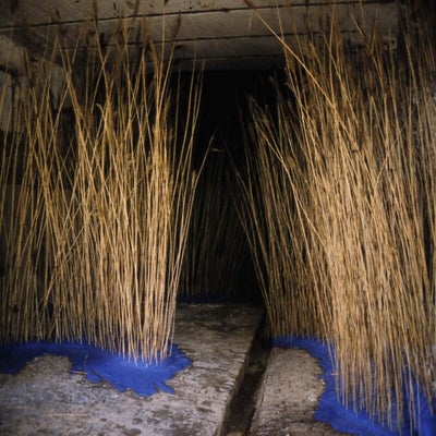1-63-peterdecupere-reedland.jpg