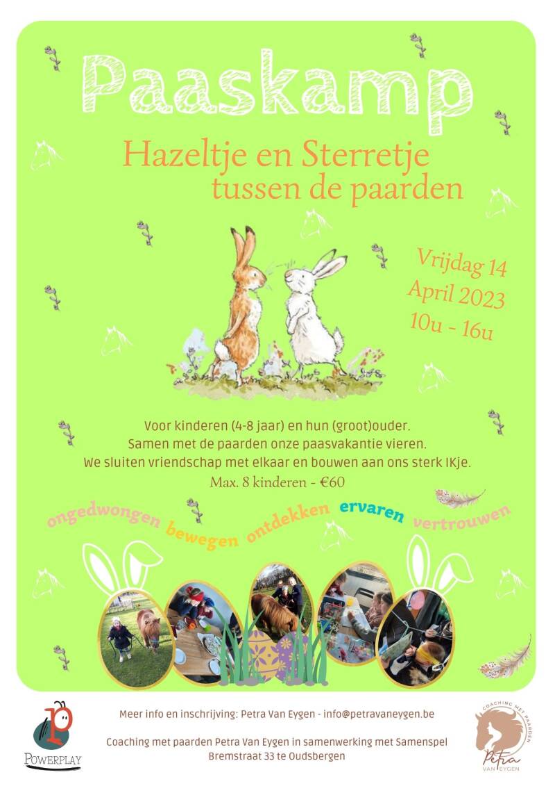 kinderkamp met paarden