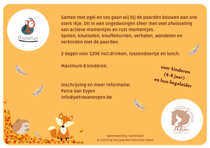 kinderkamp met paarden