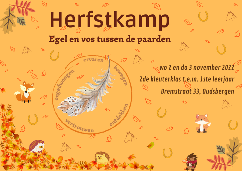 kinderkamp met paarden