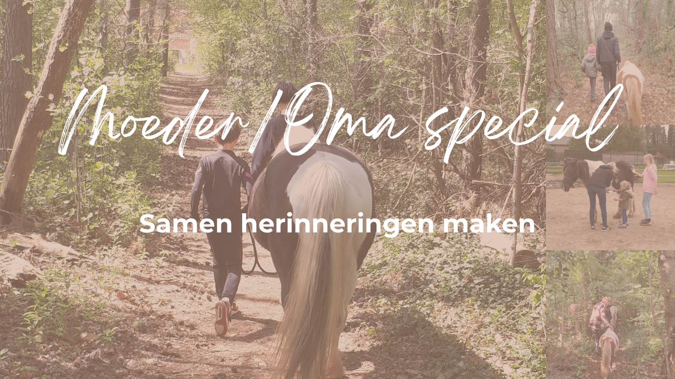 Verbinding, moeder / kind, herinnering maken, paardencoaching, speciaal kado