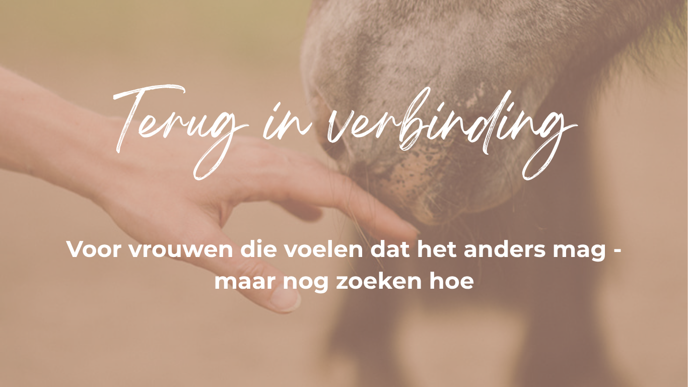 Terug in verbinding, vrouwencoaching, healing with horses