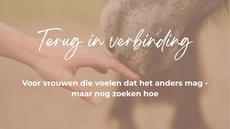 Terug in verbinding, vrouwencoaching, healing with horses