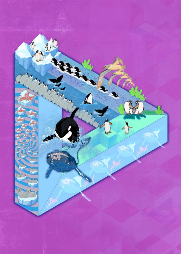 Antarctica (29,7 cm x 42 cm)