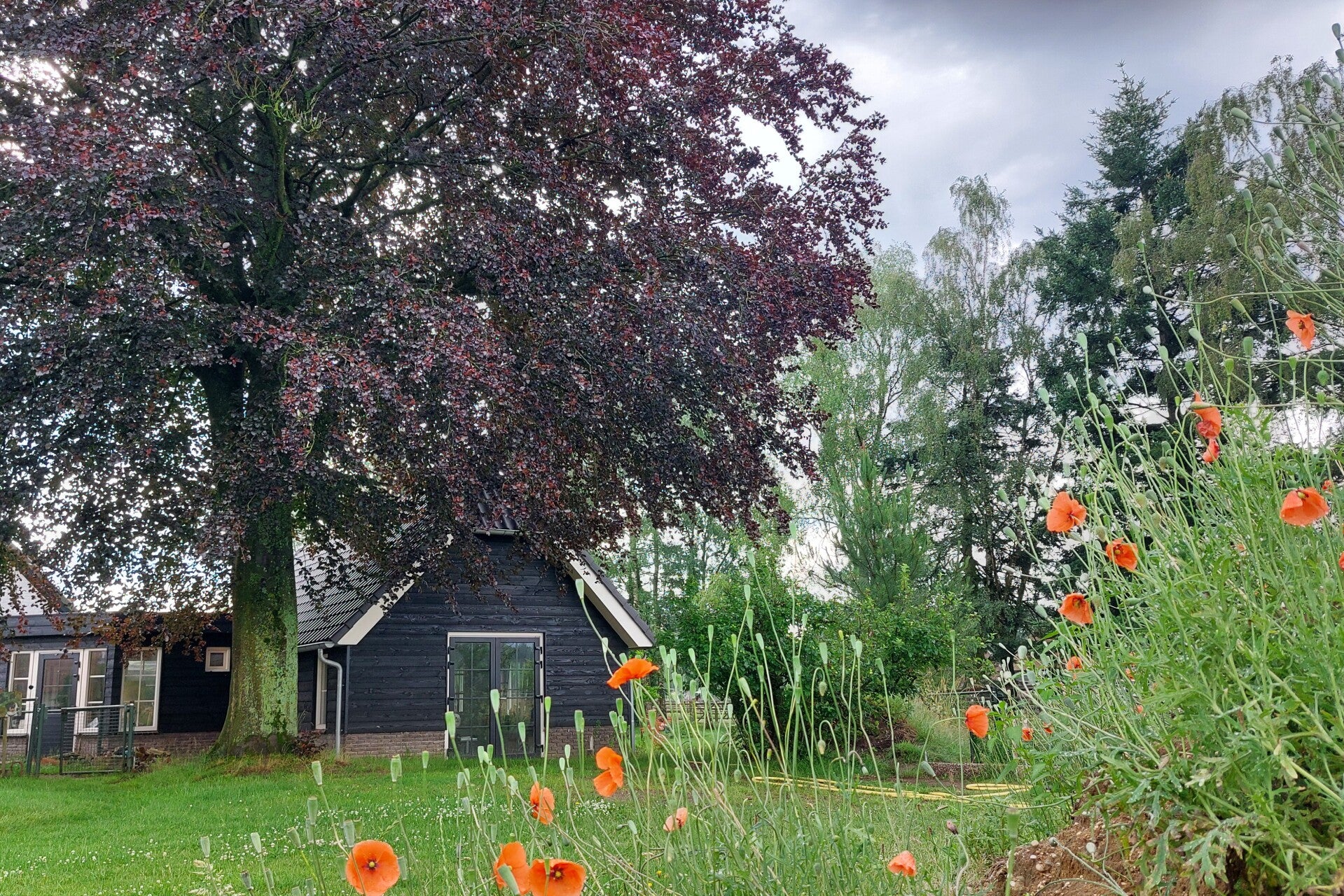 Atelier de Veldbloem voor schilderijen, schilderlessen, creatieve workshops, thematische workshops, lezingen. Een atelier met uitzicht opde natuur. Welkom voor creativiteit, rust, ontspanning, inspiratie. Ook voor groepen