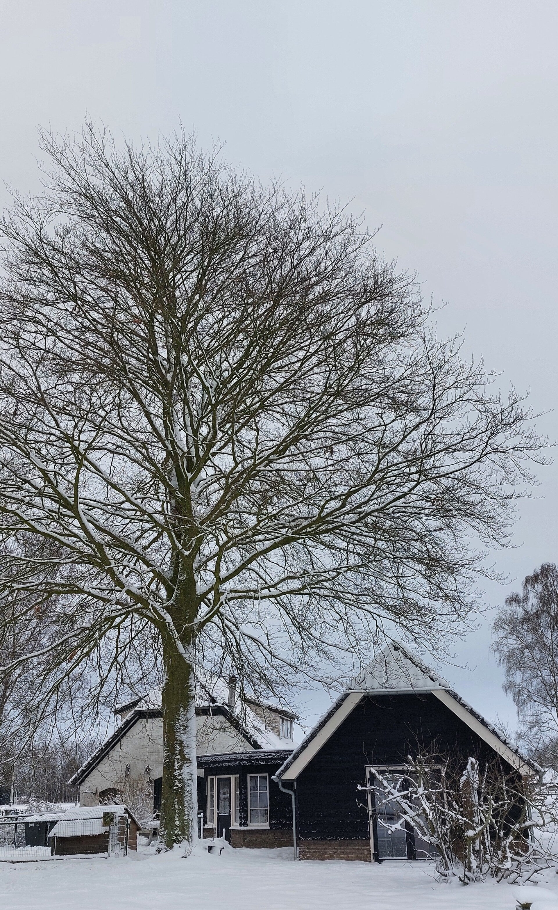 Atelier de Veldbloem van Corinne Bronsink in Emst met uitzicht op de weilanden. Welkom voor inspiratie, creativiteit, rust en ontspanning. Corinne schildert ook in opdracht, geeft creatieve workshopt en schilderlessen. Zij verzorg lezingen over thema's.