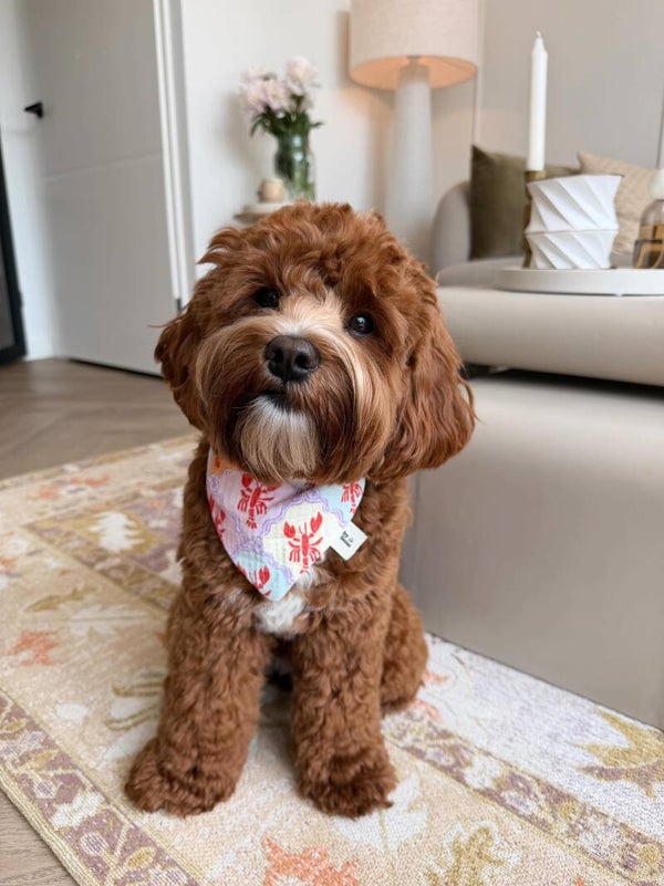 Lobsters Bandana