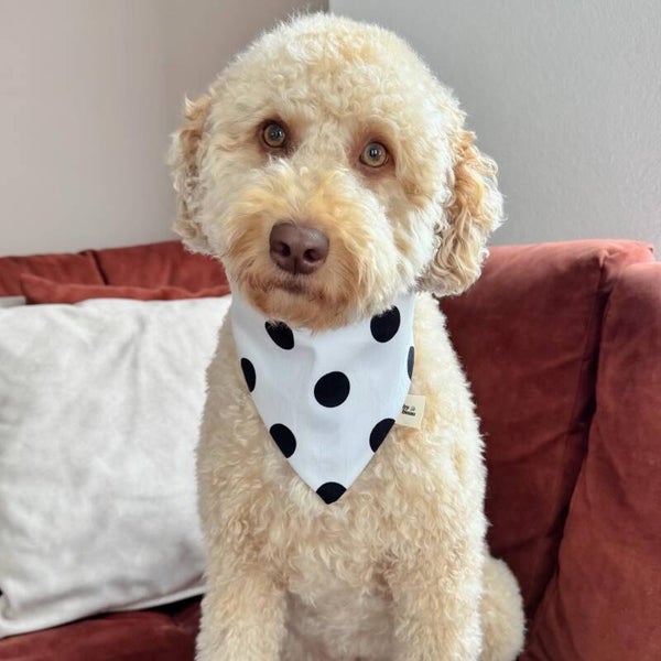 Polka Dot Bandana