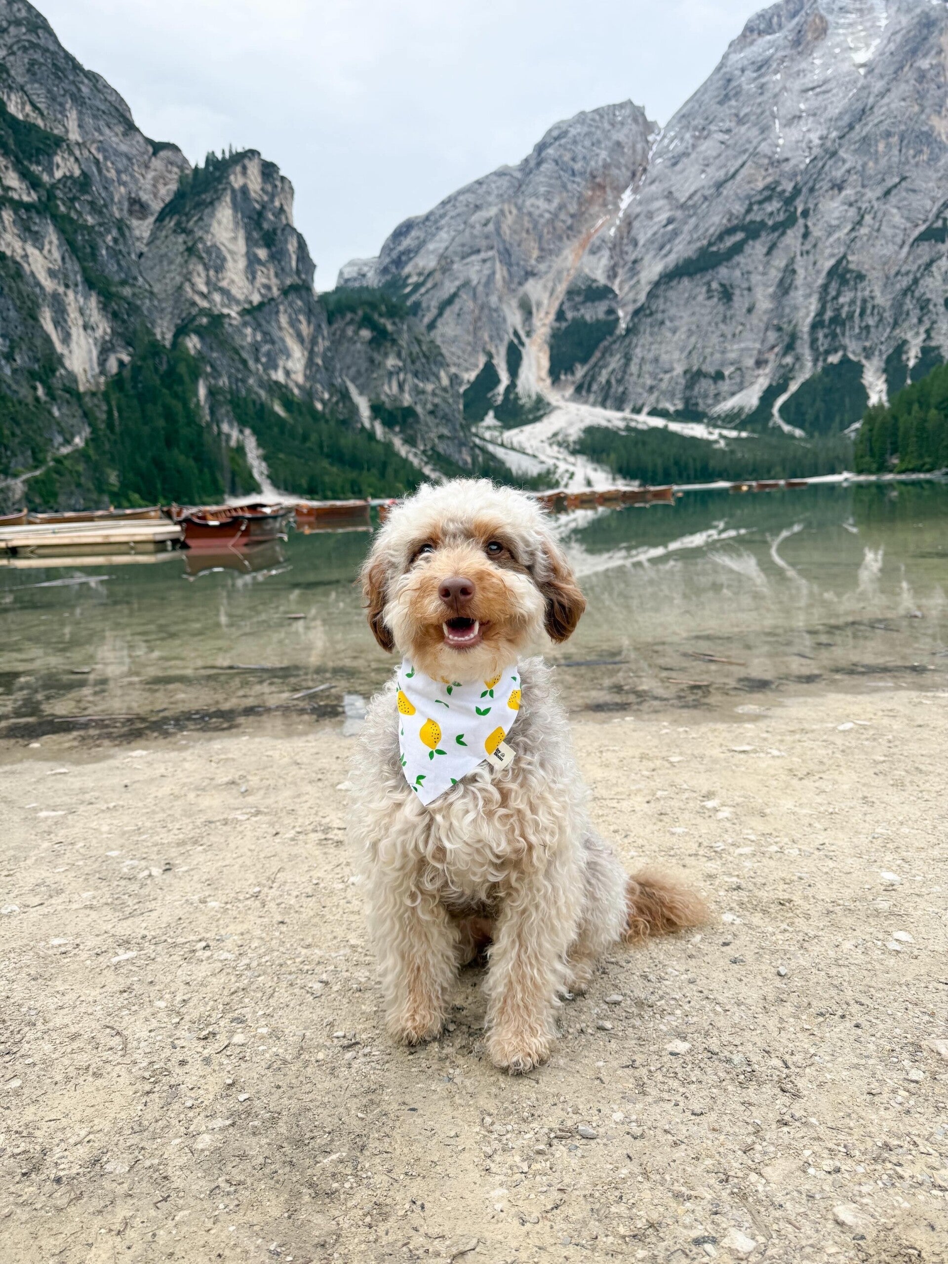 Limoncello Bandana