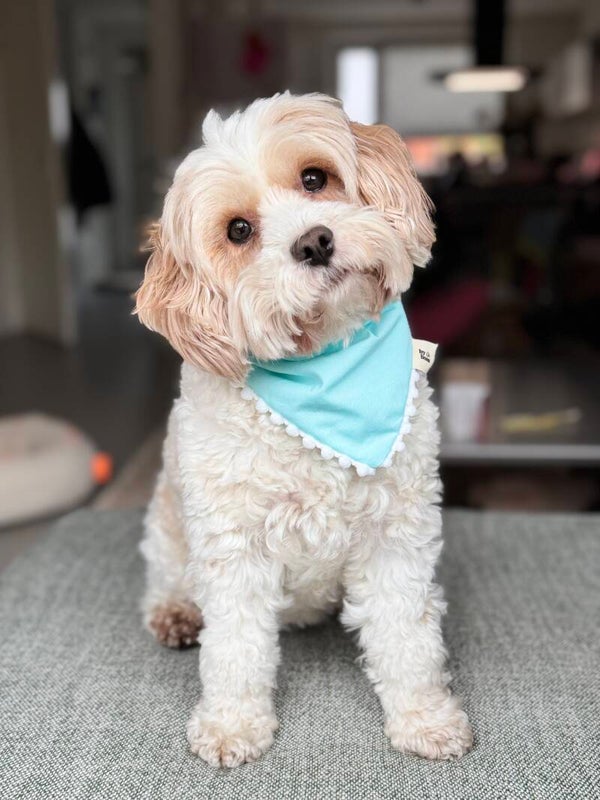 Ibiza Bandana