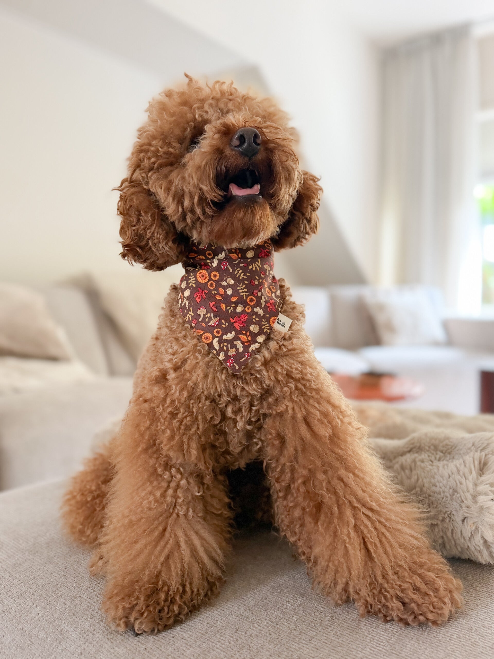 Autumn Glow Bandana