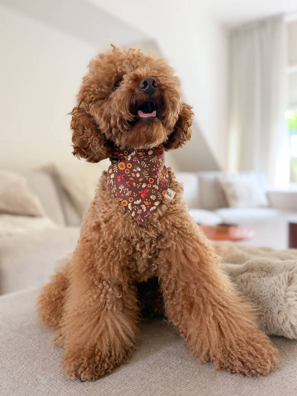 Autumn Glow Bandana